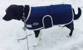 Shedrow K9 Tundra Navy with Grey Trim 2XL SALE (EXTRA 50% OFF AT CHECKOUT)