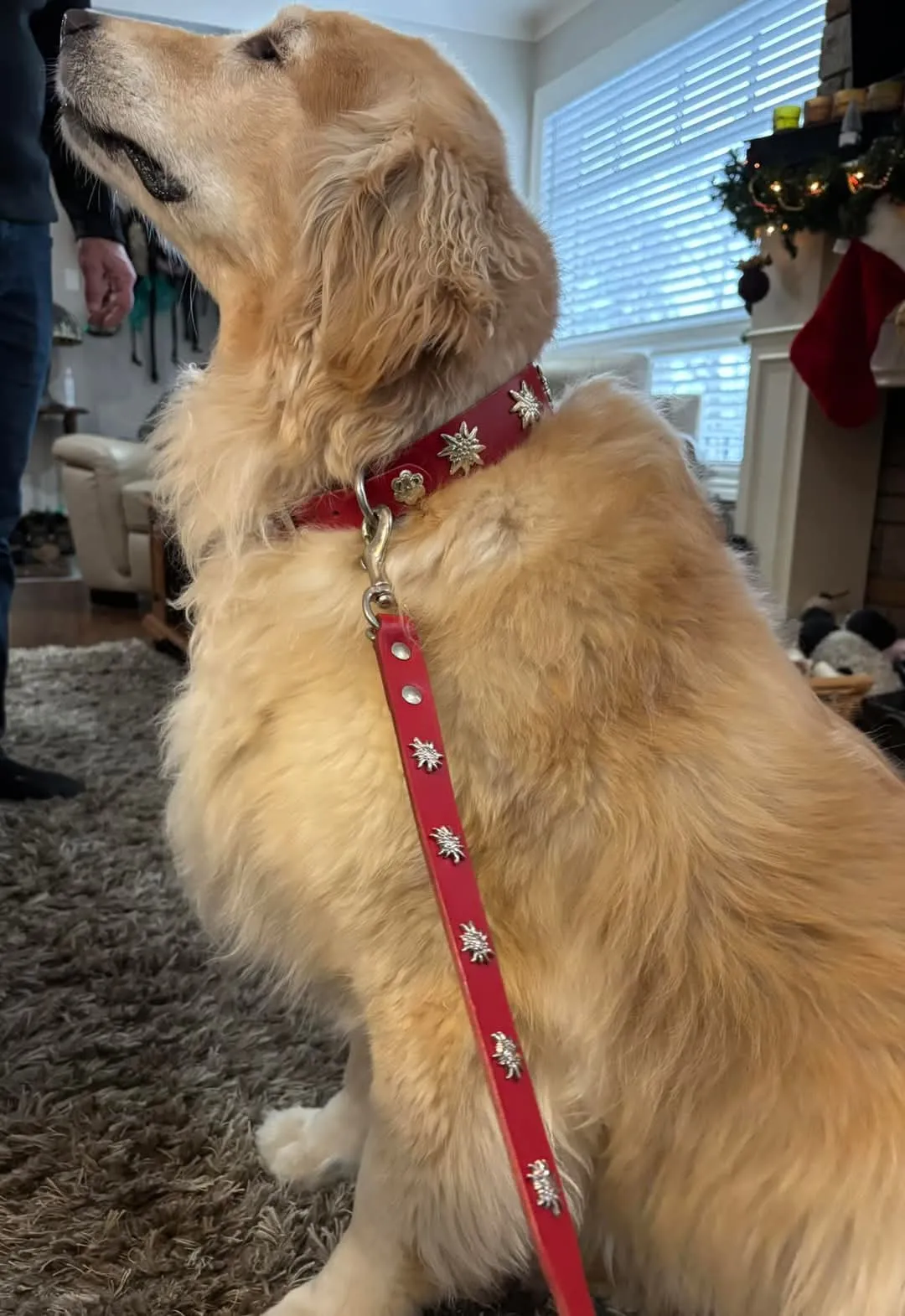 Swiss Edelweiss Leashes