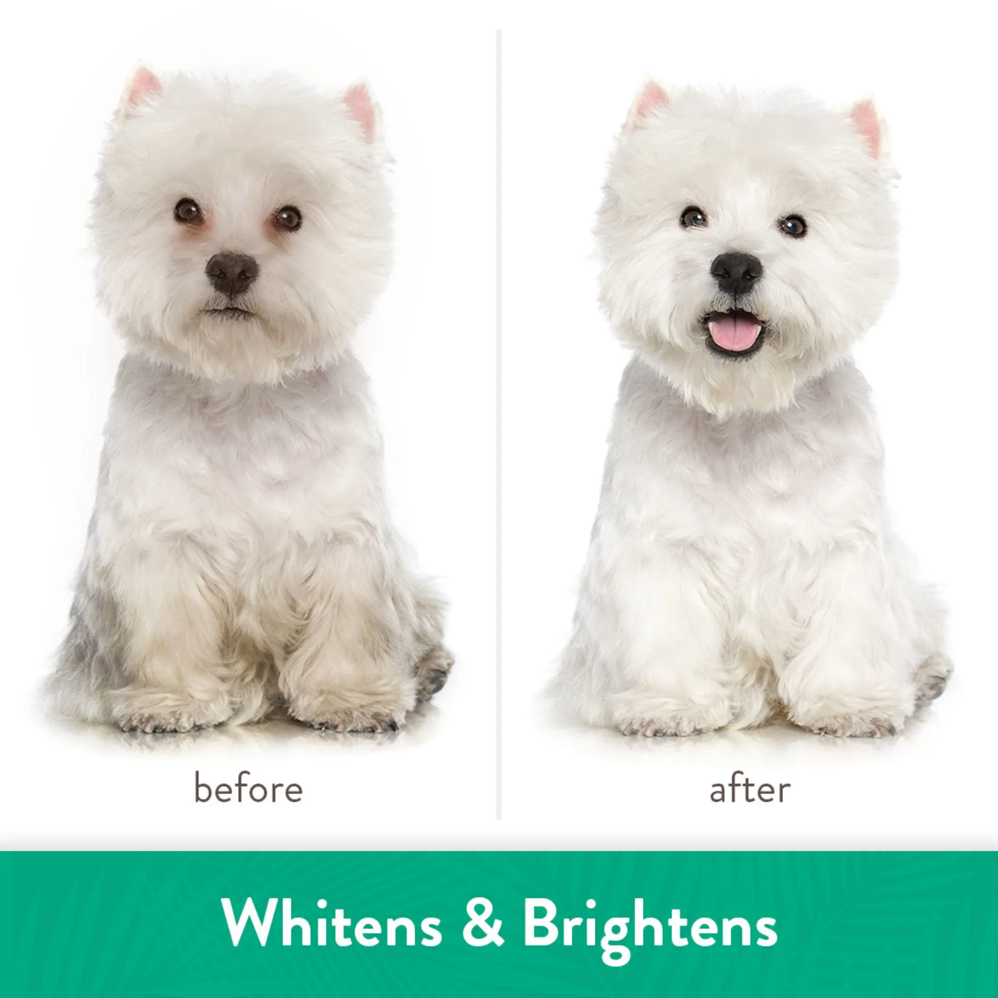 TropiClean - Awapuhi & Coconut Whitening Shampoo for Pets