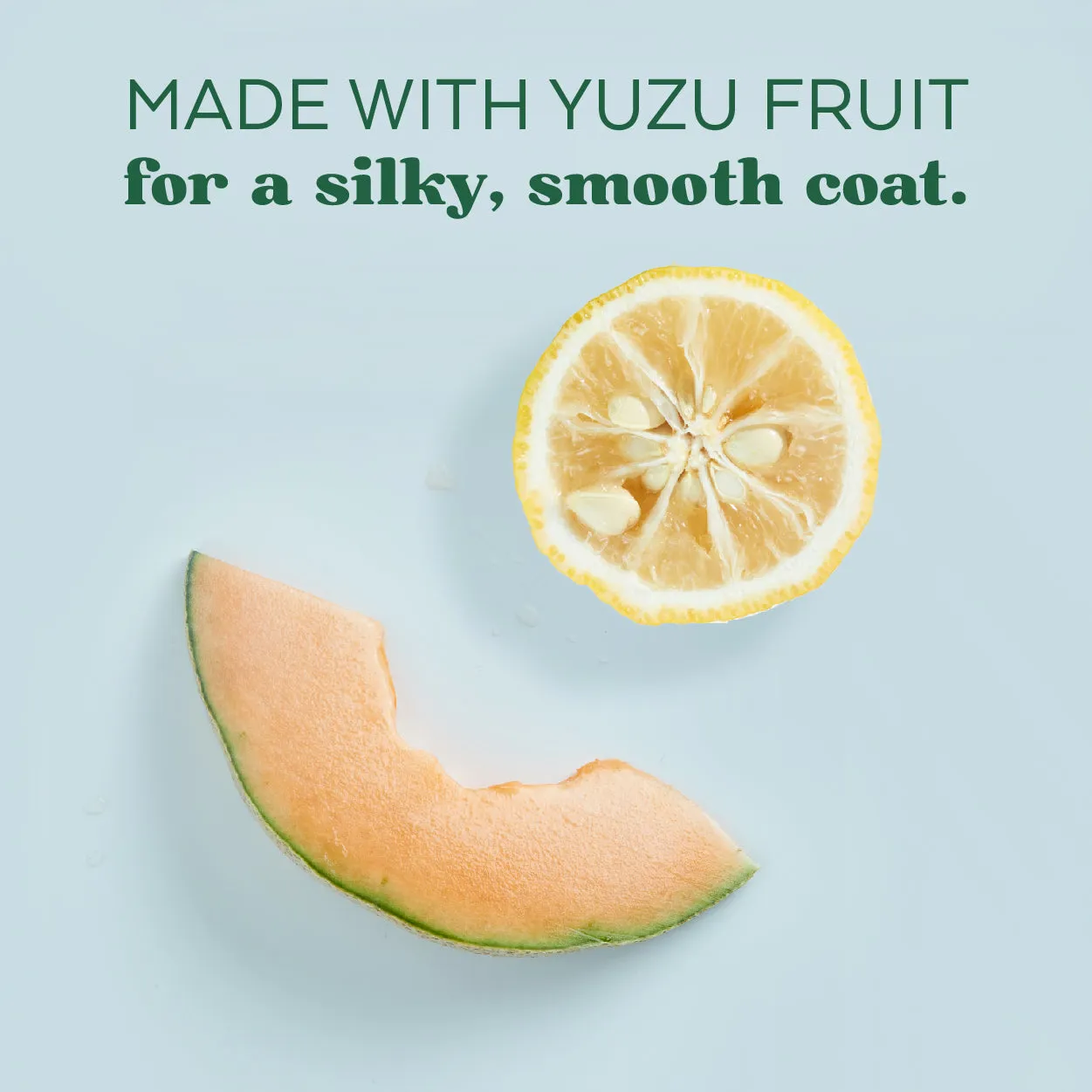 Tropiclean Essentials Yuzu 16-oz, Dog Shampoo