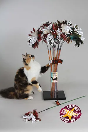 Vee Cat Toy Teasers