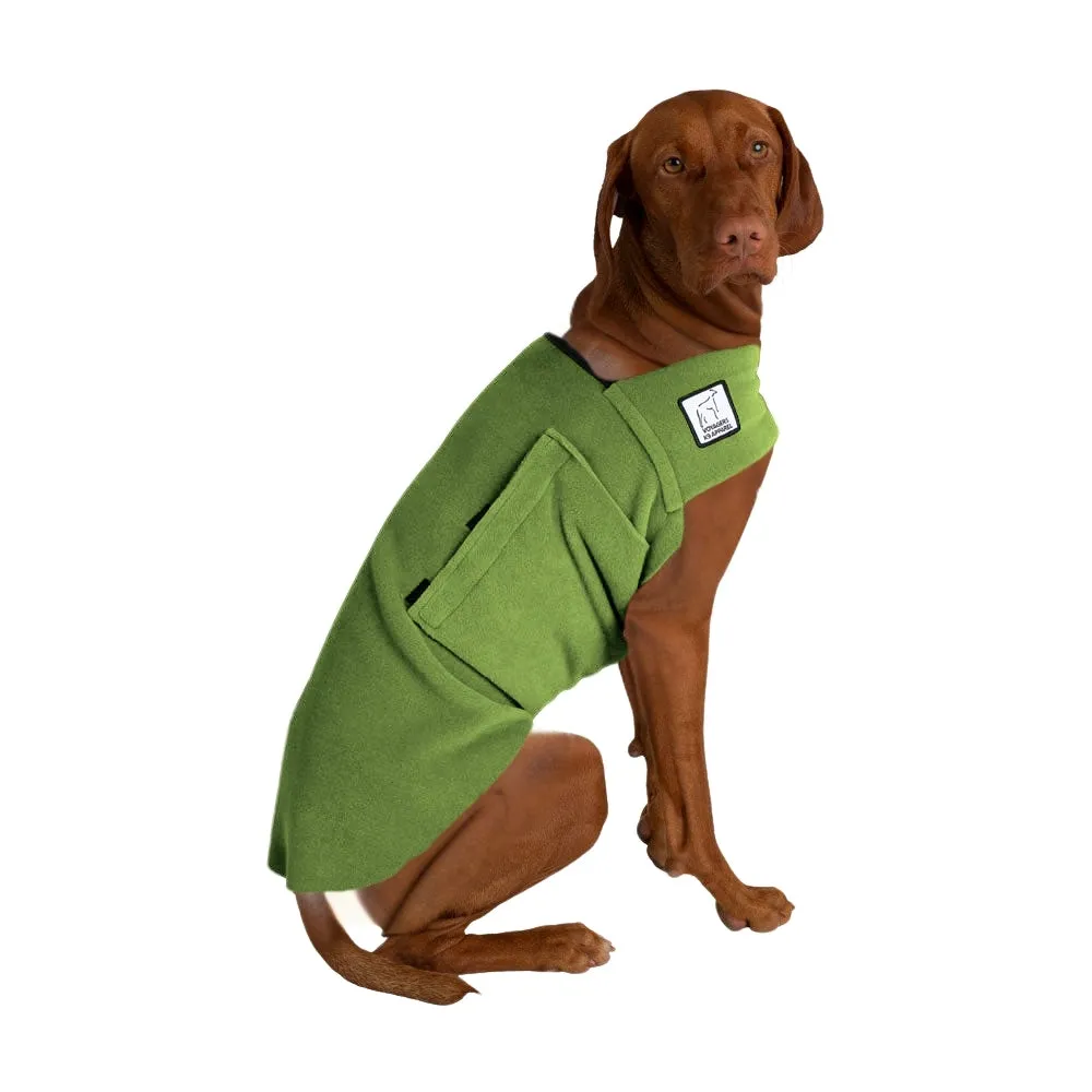 Vizsla Tummy Warmer