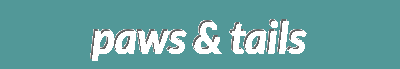 Special Offers | Pet Beds, Dog Collars, Pedigree, Tidy Cats & More - [Shop Name]
